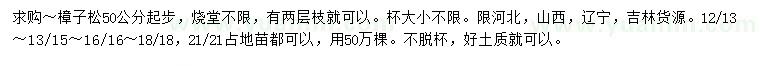 求購50公分起步樟子松