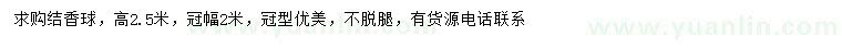 求購(gòu)高2.5米結(jié)香球