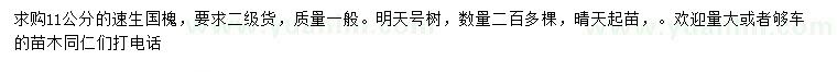 求購11公分速生國槐