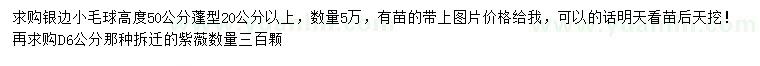 求購(gòu)高50公分銀邊小毛球、地徑6公分紫薇
