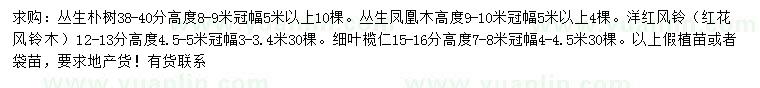 求購叢生樸樹、叢生鳳凰木、洋紅風(fēng)鈴等