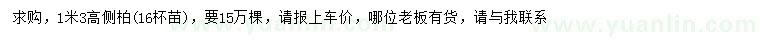 求購(gòu)高1.3米側(cè)柏