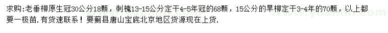 求購老垂柳、刺槐、旱柳