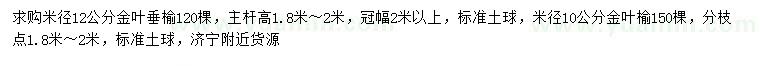 求購(gòu)米徑10、12公分金葉垂榆