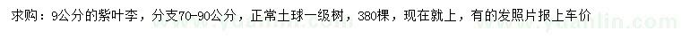 求購9公分紫葉李
