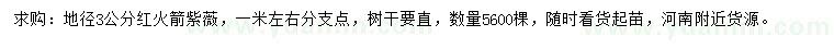 求購地徑3公分紅火箭紫薇
