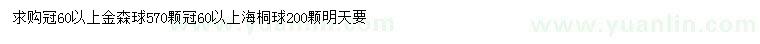 求購冠幅60公分以上金森球、海桐球