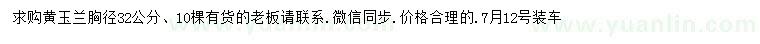 求購胸徑32公分黃玉蘭