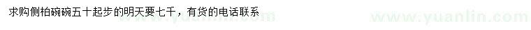 求購(gòu)50公分起步側(cè)柏