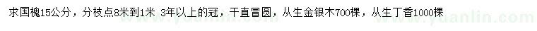 求購國槐、叢生金銀木、叢生丁香