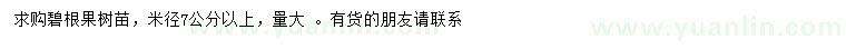 求購米徑7公分以上碧根果樹苗