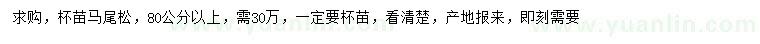求購80公分以上馬尾松
