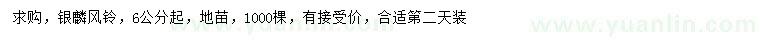 求購(gòu)6公分起銀麟風(fēng)鈴