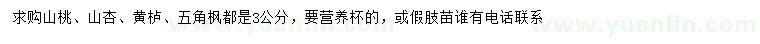 求購山桃、山杏、黃櫨等