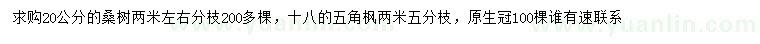 求購(gòu)20公分桑樹(shù)、15公分五角楓