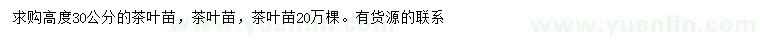 求購高30公分茶葉苗