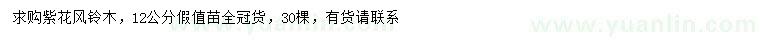 求購12公分紫花風(fēng)鈴木