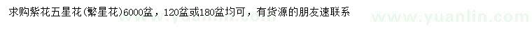 求購紫花五星花