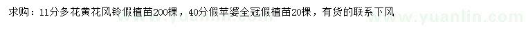 求購11公分多花黃花風鈴、40公分假蘋婆