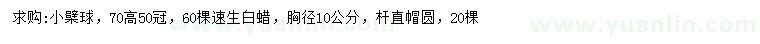求購高70公分小檗球、胸徑10公分速生白蠟