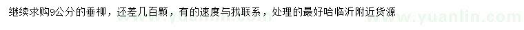 求購9公分垂柳