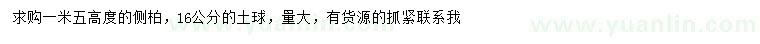 求購(gòu)高1.5米側(cè)柏