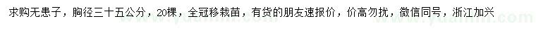 求購(gòu)胸徑35公分無(wú)患子