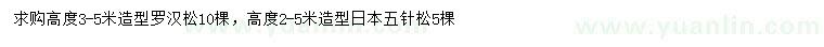 求購(gòu)高3-5米造型羅漢松、2-5造型日本五針?biāo)? />
                        <br />
                        <label style=