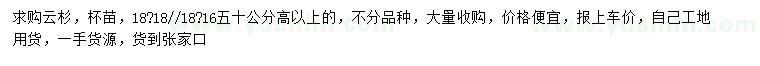 求購(gòu)高50公分以上云杉