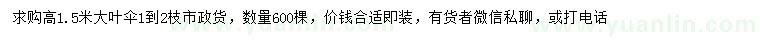 求購高1.5米大葉傘
