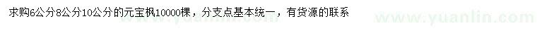 求購(gòu)6、8、10公分元寶楓