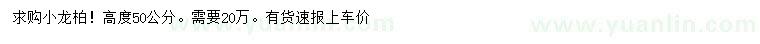 求購(gòu)高50公分小龍柏