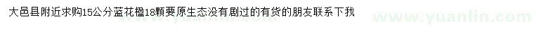求購(gòu)15公分藍(lán)花楹