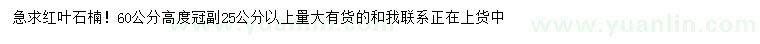 求購高60公分紅葉石楠