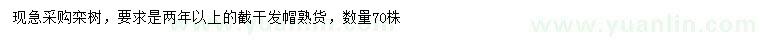 求購兩年以上欒樹