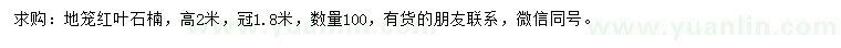 求購高2米紅葉石楠