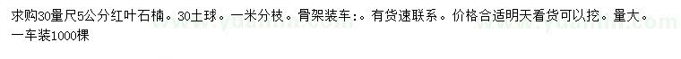 求購30公分量5公分紅葉石楠