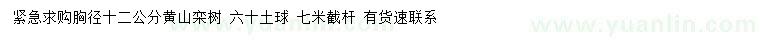 求購(gòu)胸徑12公分黃山欒