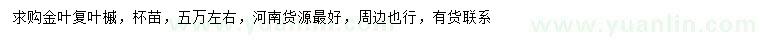 求購金葉復(fù)葉槭