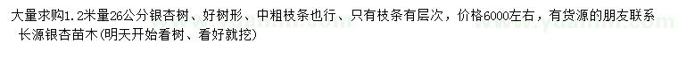 求購1.2米量26公分銀杏
