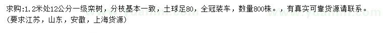求購1.2米量12公分欒樹