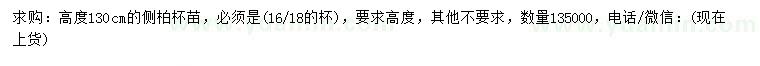 求購高130公分側(cè)柏