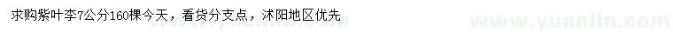 求購7公分紫葉李