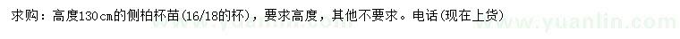 求購高130公分側(cè)柏
