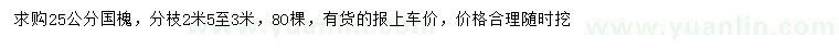 求購25公分國槐