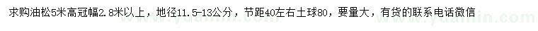 求購地徑11.5-13公分油松