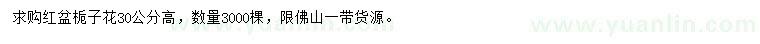 求購高30公分紅盆梔子花