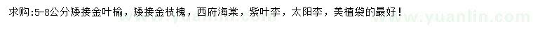 求購矮接金葉榆、矮接金枝槐、西府海棠等