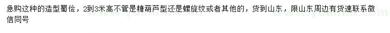 求購2-3米造型蜀檜