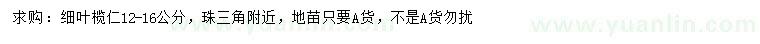 求購(gòu)12-16公分細(xì)葉欖仁